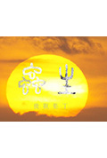 《蟲生》封面