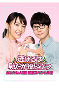 《逃避虽可耻但有用 新春特别篇》封面