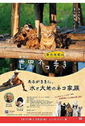 剧场版 岩合光昭的猫步走世界 第2弹封面