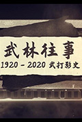 武林往事——1920-2020百年武打影史封面