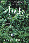 小伟封面