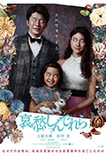 《哀愁灰姑娘》封面