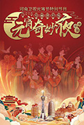 河南卫视元宵节特别节目—河南博物院元宵奇妙夜封面