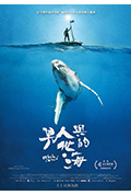男人与他的海封面