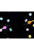 《Firefly》封面