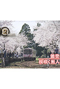 《纪实72小时 能登半岛·樱花盛放的无人车站》封面