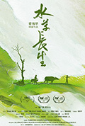 水草长生封面