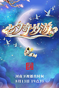 七夕奇妙游封面
