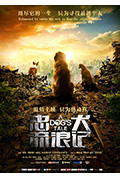 《忠犬流浪记》封面