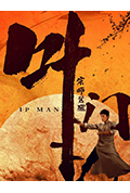 叶问宗师觉醒封面