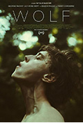 《狼》封面