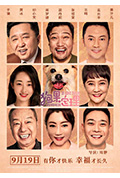 《狗果定理》封面