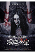 《深宅迷案》封面