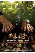 《老鹰之手》封面
