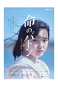 生命的接力棒封面