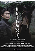 《月光下的回头马》封面
