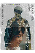《日光树影》封面