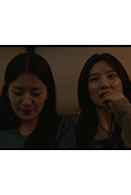 소로封面