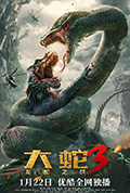 大蛇3:龙蛇之战封面