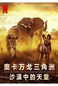 幸存的天堂封面