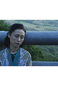 《燒金》封面