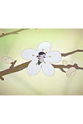 梅花梅花封面