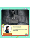 《南方來的北方小鳥》封面