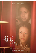 莉莉封面