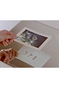 《所见非相》封面