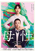 《母性》封面