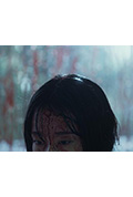 《我在这儿》封面