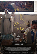 《折翼姊妹》封面