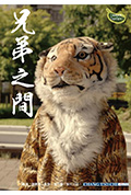 《兄弟之間》封面