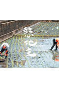 《憨地主》封面