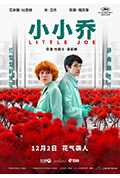 《小小乔》封面