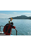 《斜陽》封面
