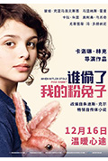 《谁偷了我的粉兔子》封面