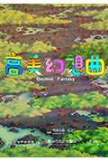 《高美幻想曲》封面