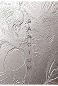 《Sanctum》封面