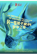 另一面镜子里的梦中之梦封面