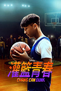 《篮球少年张》封面