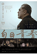 《白日青春》封面