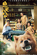 《忠犬八公》封面