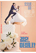《你想结婚吗?》封面