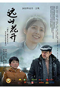 《远山花开》封面
