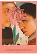 祝君安好封面