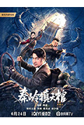 秦岭镇天棺封面