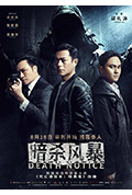 《暗杀风暴》封面