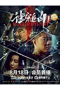 《谜案追凶》封面
