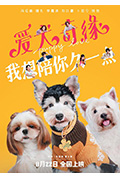 《爱犬奇缘》封面